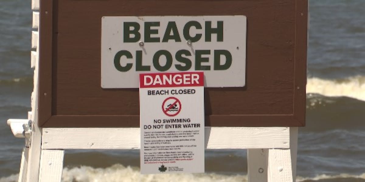 Dangerous E. Coli levels keep swimmers off local beaches
