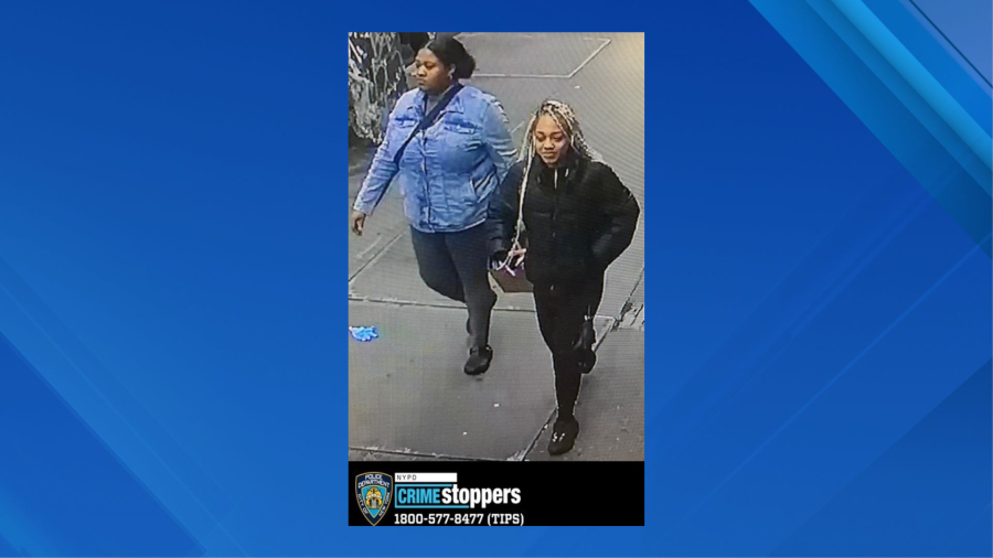 Man, 79, punched by 2 women inside Brooklyn Dollar Tree: NYPD