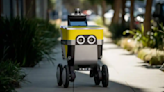 Uber- and Nvidia-backed Serve Robotics ends Nasdaq debut down 22% - SiliconANGLE