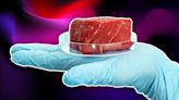 'So much for free market capitalism huh?': Is Alabama’s lab-grown meat ban a harbinger of 'big government?' Some think so