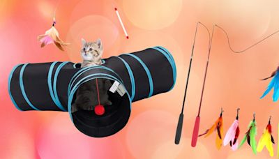 13 Highly Rated Cat Toys (and Treats) On Amazon Your Furry Feline Will Love