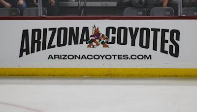 Coyotes slam cancellation of Arizona land auction