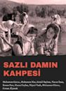 Sazli damin kahpesi