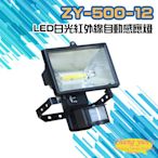 昌運監視器 ZY-500-12 LED白光紅外線自動感應燈 台灣製造