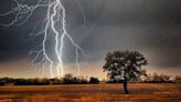 Lightning kills eight in Sindh