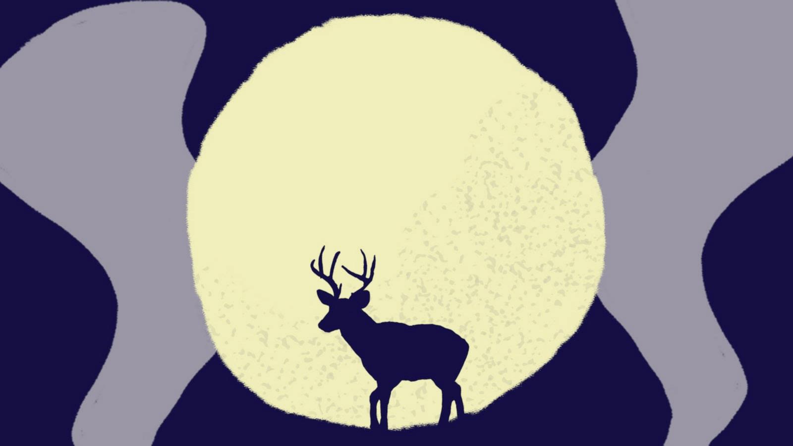 July full moon: What the buck moon means for your zodiac
