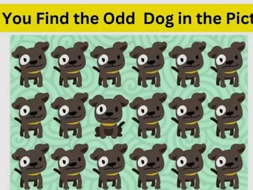 Brain Teaser Of The Day: Its Graduation Day! Can You Spot The Topper Dog In Less Just 5 Seconds?