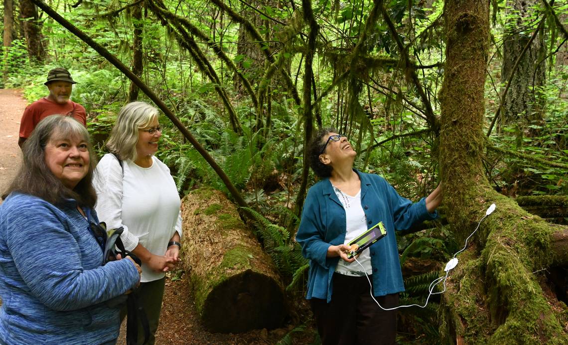 ‘Hearing trees sing.’ Olympia woman helps people listen to the vibes of old-growth forests