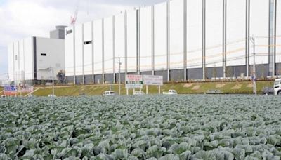 台版茶農怨！日媒：台積電到熊本 農民失地而傷 - 自由財經