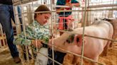 What to know before heading to the 2022 Benton Franklin Fair & Rodeo