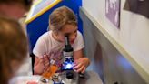 Savannah Children’s Museum to hold annual Bug Fest on April 20th