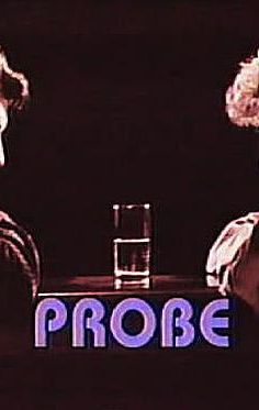 Probe