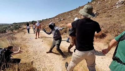Israeli settlers attack foreign activists and Palestinian farmers in West Bank