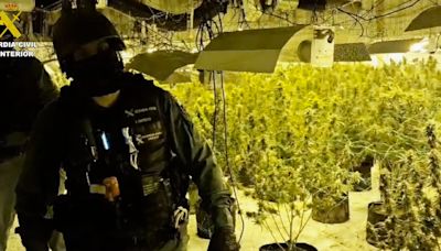 Tres detenidos en Fraga con 83 kilos de cogollos de marihuana