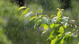 今日「穀雨」節氣到！由來、節氣禁忌、開運秘訣 財神爺也來敲門