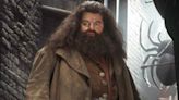 Hagrid's 'Dead Head' In Harry Potter Was Already Horrifying - Then It Came To Life