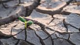 Ola de calor deja más de 20 muertos en Marruecos en solo 24 horas | Teletica