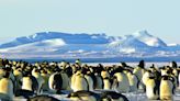 La Antártida entra en un nuevo 'punto de inflexión'. Las cosas están cada vez peor en el continente helado