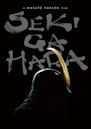 Sekigahara (film)