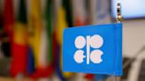 OPEP+ cambia reunión sobre política de producción a modalidad online