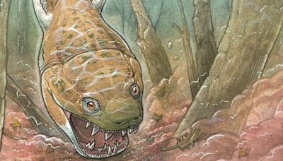 Giant fanged salamander haunted swamps 280 million years ago