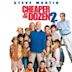 Cheaper by the Dozen 2