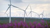 Wind farms push down energy prices says SSE boss after ‘misconstrued’ debate