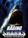 Raging Sharks