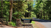 Oregon Yellowbottom campground delays opening due to safety concerns over old trees