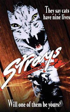 Strays