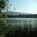 Vasona Lake County Park