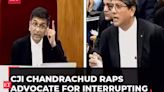 CJI Chandrachud raps advocate Matthews for interrupting; lawyer later 'forgives' lordships