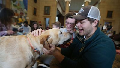 Photos: Iowa State University's Barks at Parks event