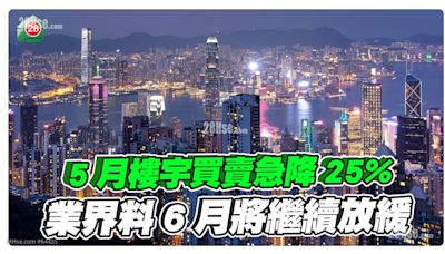 撤辣蜜月期已過 5月樓宇買賣急降25% 業界料6月將繼續放緩