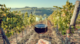 Los 6 mejores lugares de Francia para pasear entre viñedos