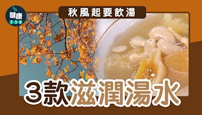 青紅蘿蔔湯、海底椰雞湯、雪梨雪耳瘦肉湯 3款秋冬滋潤湯水食譜 | am730