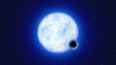 Are stars vanishing into their own black holes? A bizarre binary system says 'yes'