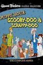 The Scooby & Scrappy-Doo/Puppy Hour