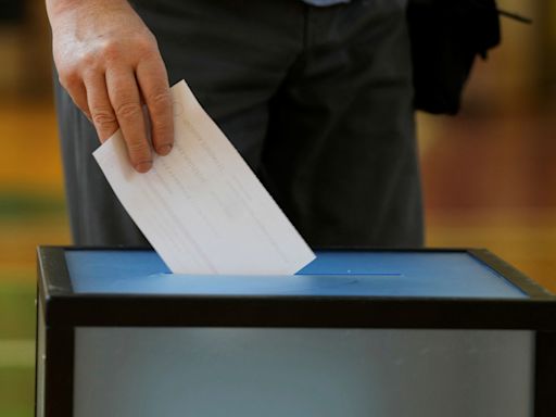 首輪投票無人過半…立陶宛第2輪總統大選登場 對俄擔憂主導選舉