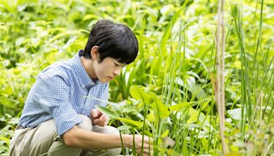 Japan's only young imperial heir turns 18