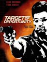 Target of Opportunity