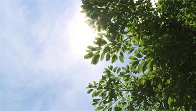 高溫恐飆38度、午後當心大雷雨 1圖看這週天氣