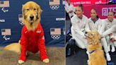 El secreto del Team USA de Gimnasia: Beacon, el perro que sirve como terapia