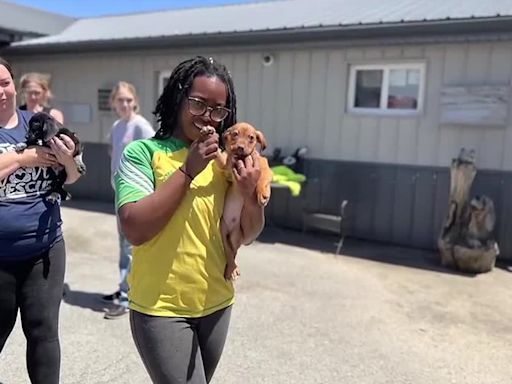 Ky. Humane Society lends helping hand after flooding at Muhlenberg Co. animal shelter