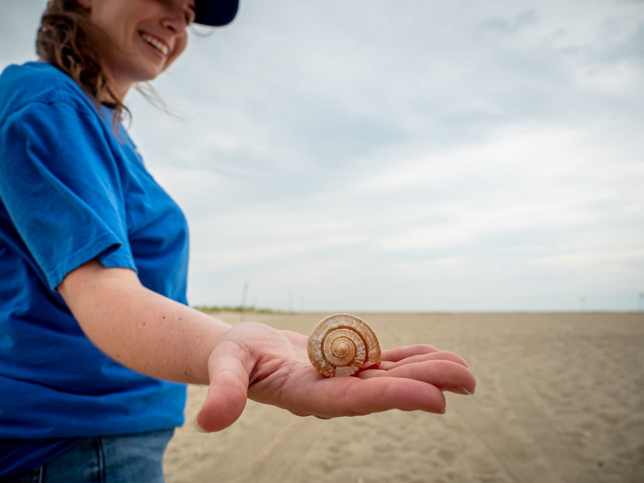 Think twice before taking seashells home from N.J. beaches, experts warn