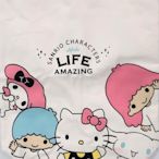 【88特價交易舖】POYA 寶雅 Hello Kitty 甜蜜精彩帆布袋/可手提可肩背/手提袋/全新