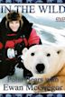 The Polar Bears of Churchill, with Ewan McGregor