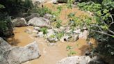 Búsqueda de joven arrastrada en río de Arecibo continúa de manera pasiva