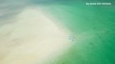 Drone video shows sealife, kayakers off Honeymoon Island