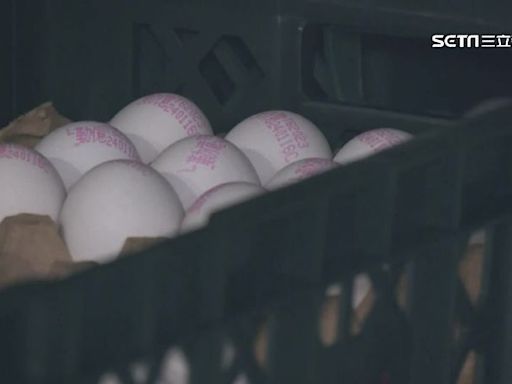 網購雞蛋平台My Egg突歇業 她簽8年「3千顆沒拿到」傻眼